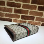 Gucci Ophidia pouch 625549